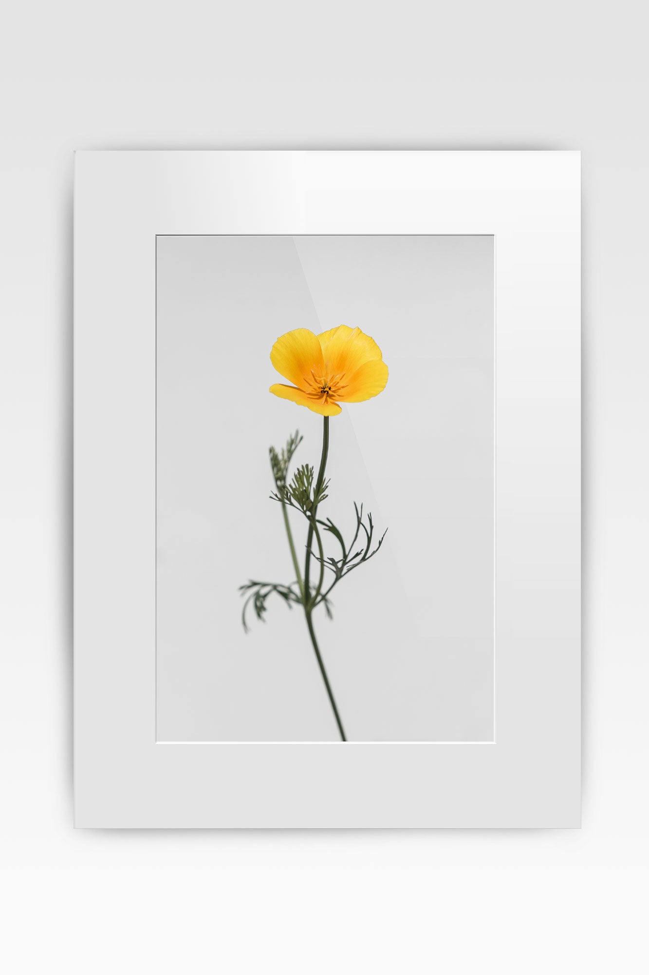 blumen14_005