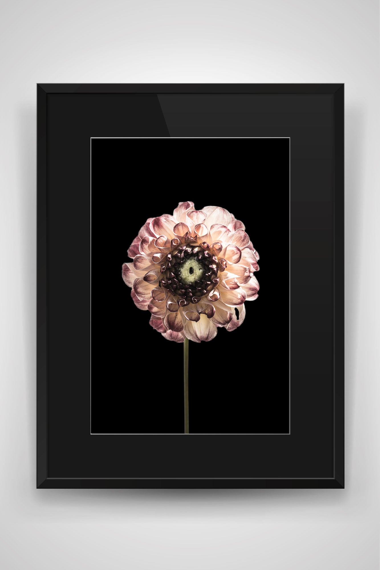 blumen14_006schw