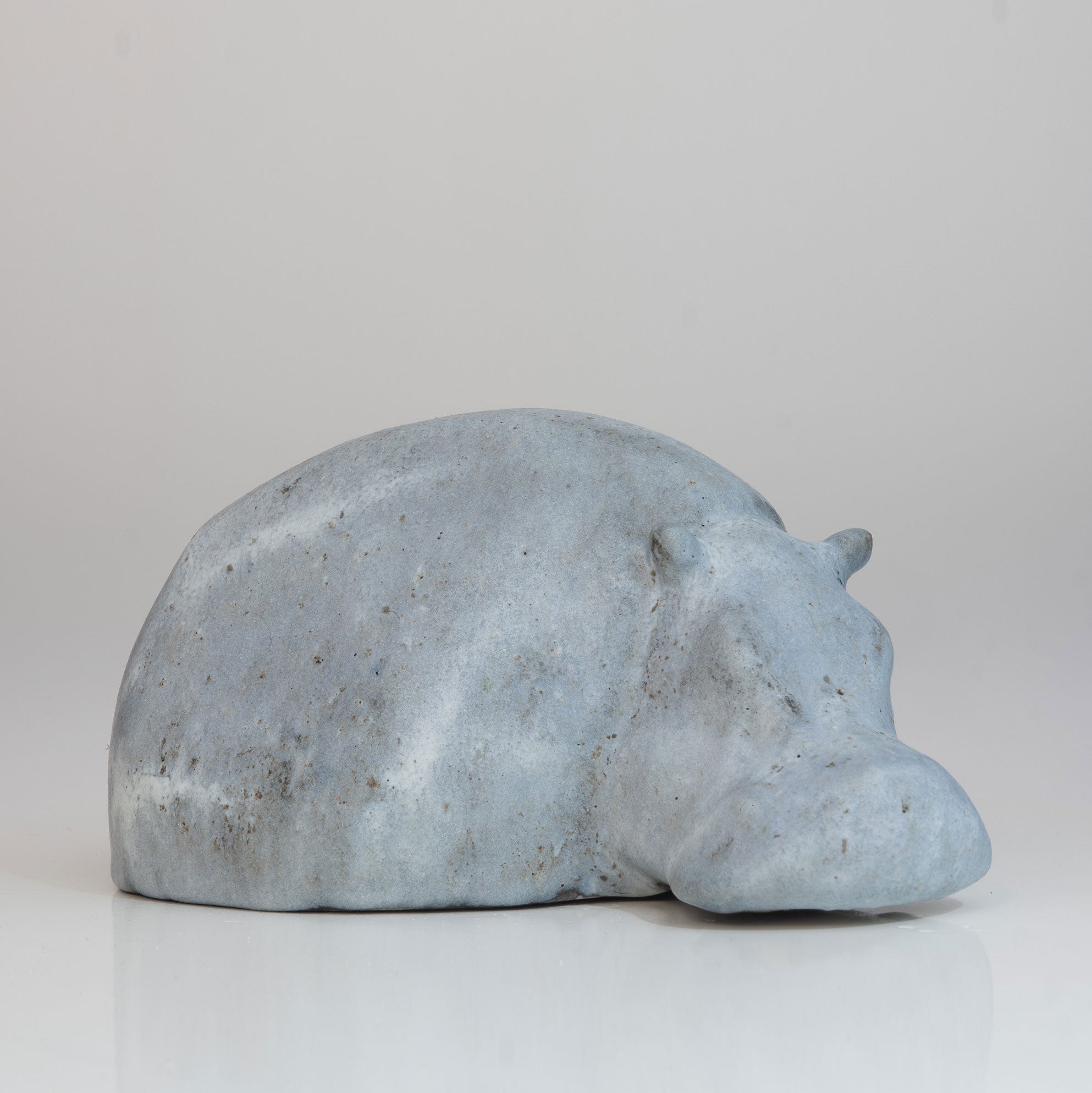 Ruhendes Nilpferd mit gesenktem Kopf - hellblau