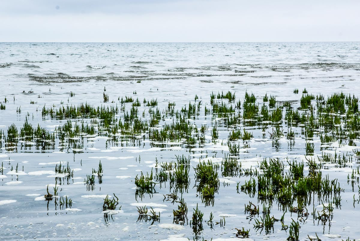 amrum11-005