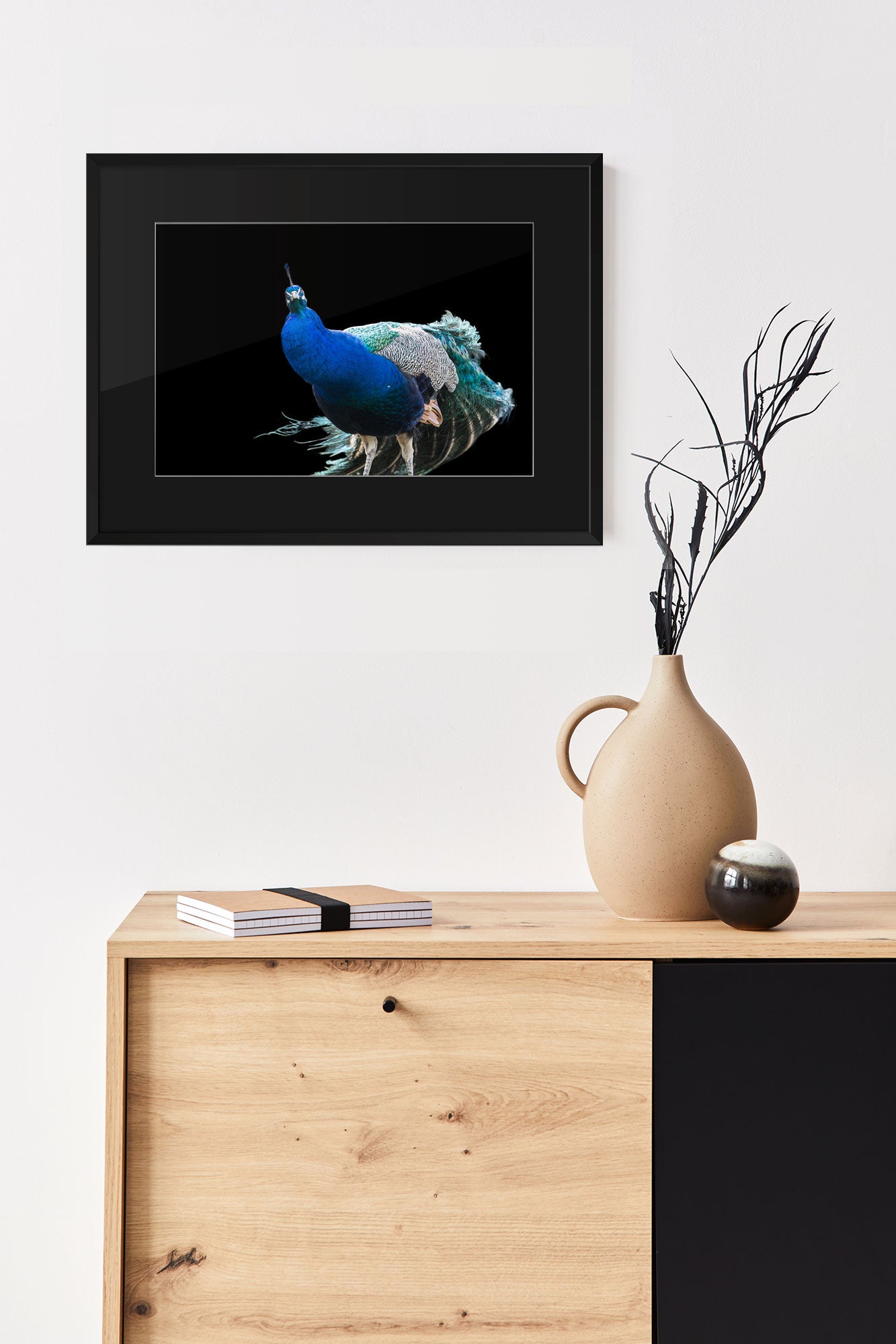 Fotografie Blauer Pfau auf schwarzem Hintergrund mit Passepartout - beispiel an der Wand