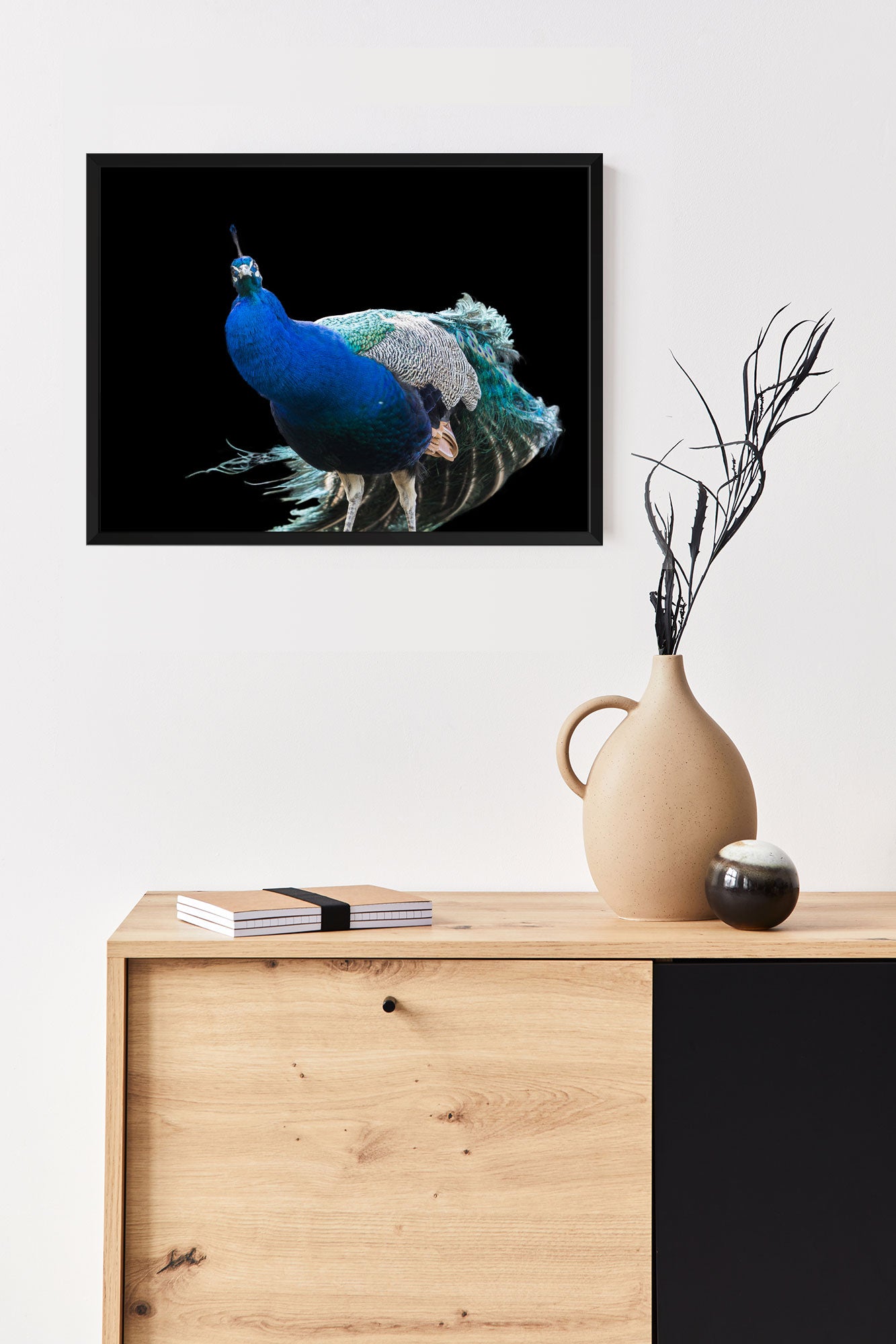Fotografie Blauer Pfau auf schwarzem Hintergrund ohne Passepartout - beispiel an der Wand
